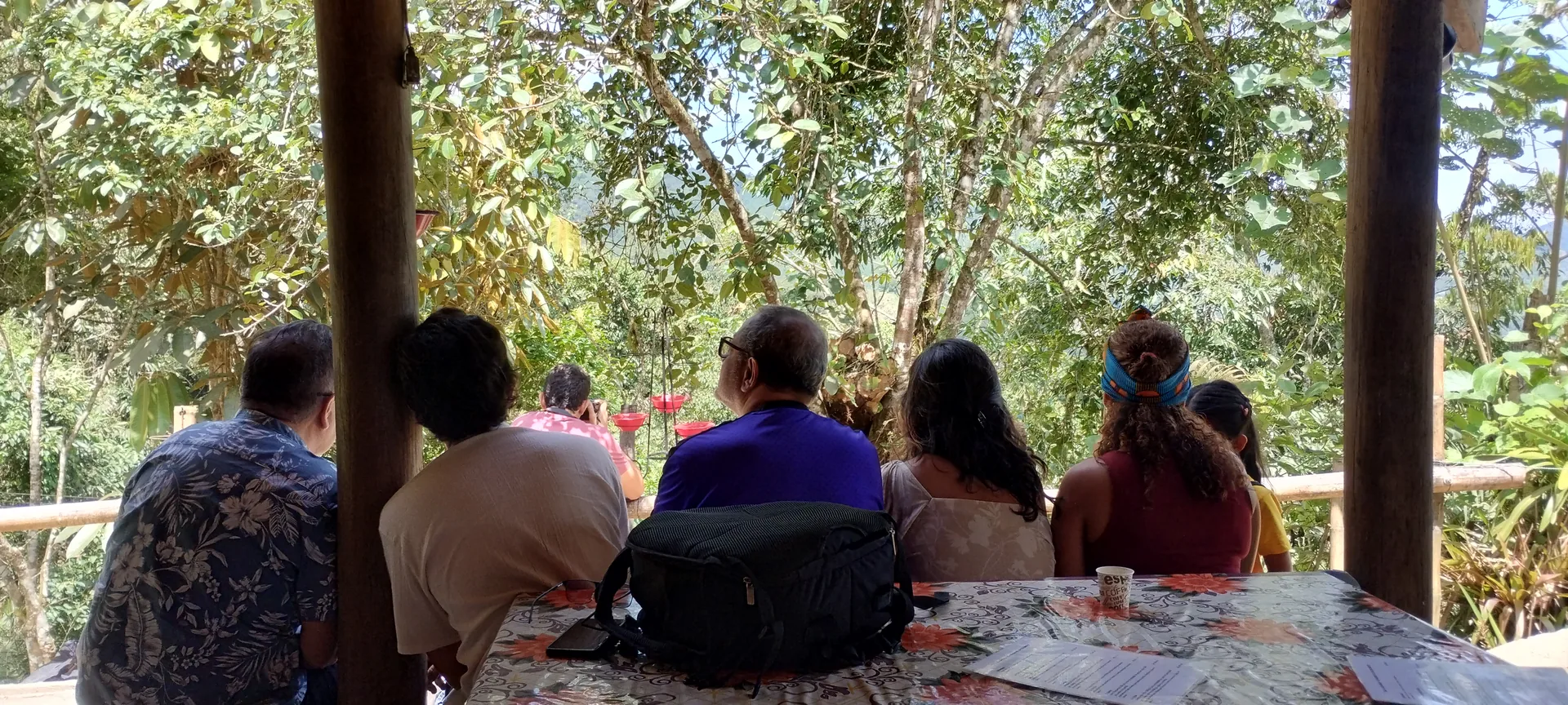 Hummingbird Paradise Tour — Finca Alejandría